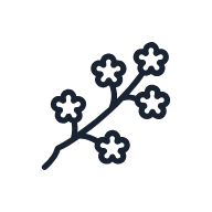 Cherry Blossom Branch SVG icon — floral