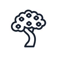 Cherry Blossom Tree SVG icon — floral