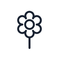 Cosmos Flower SVG icon — floral