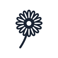 Gerbera Daisy SVG icon — floral