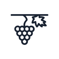 Grape Vine SVG icon — floral