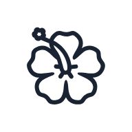 Hibiscus Flower SVG icon — floral