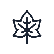 Ivy Leaf
