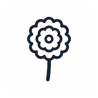 Marigold Flower SVG icon — floral