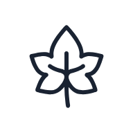 Pumpkin Leaf SVG icon — floral