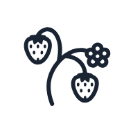 Strawberry Vine SVG icon — floral