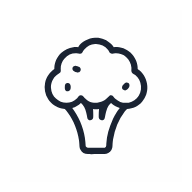 Broccoli SVG icon — food
