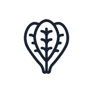 Spinach SVG icon — food